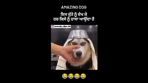 No words