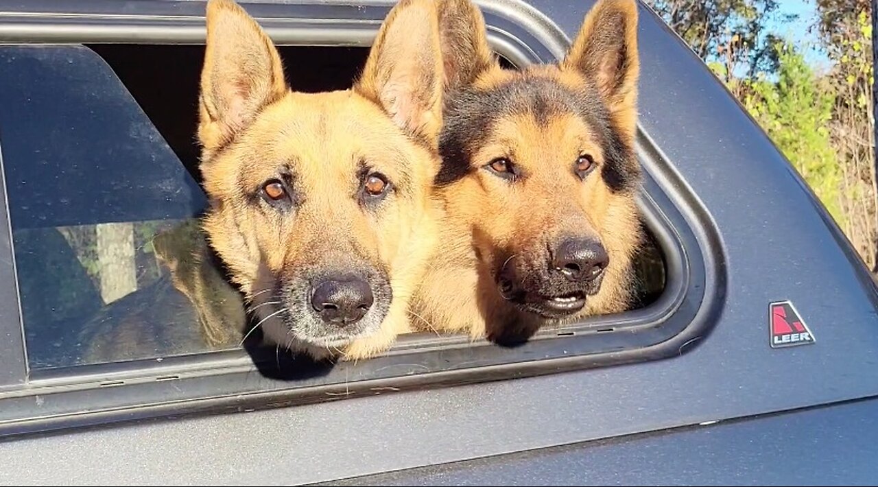 Talking Rock Black Powder Shooters - November 2024 - Monthly Meet - Boar & Turkey