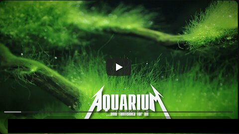 Акваскейп аля «Нитчатка стаил»