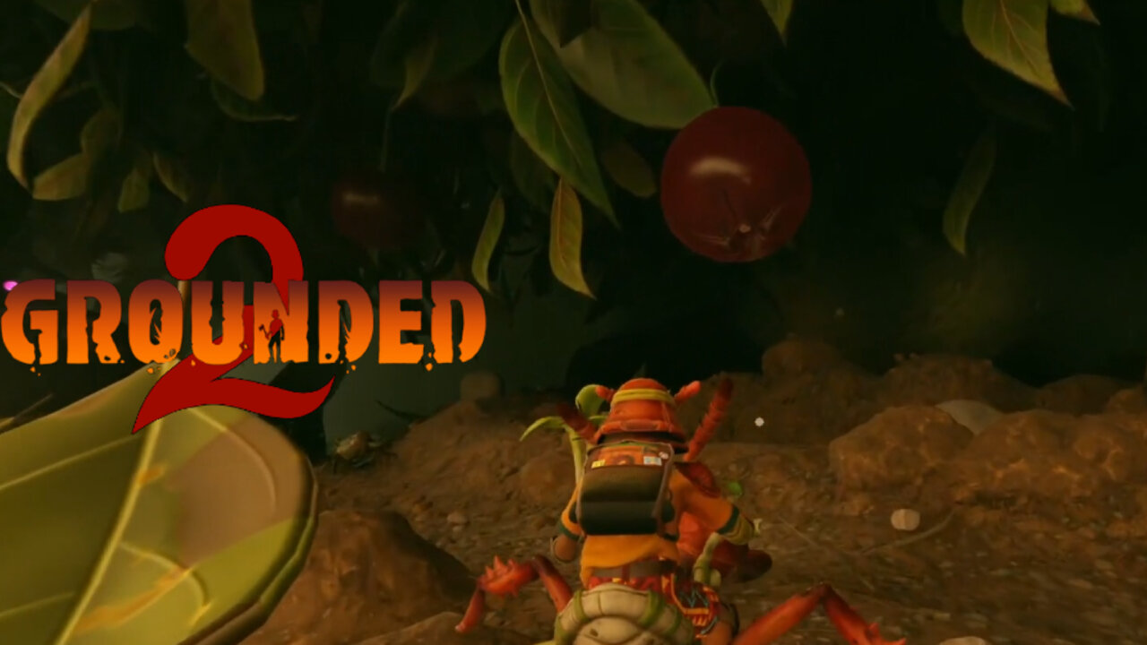 The Great Hunt For Berries! ~ Grounded 2!