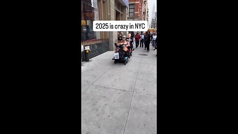 The Democrat's Party