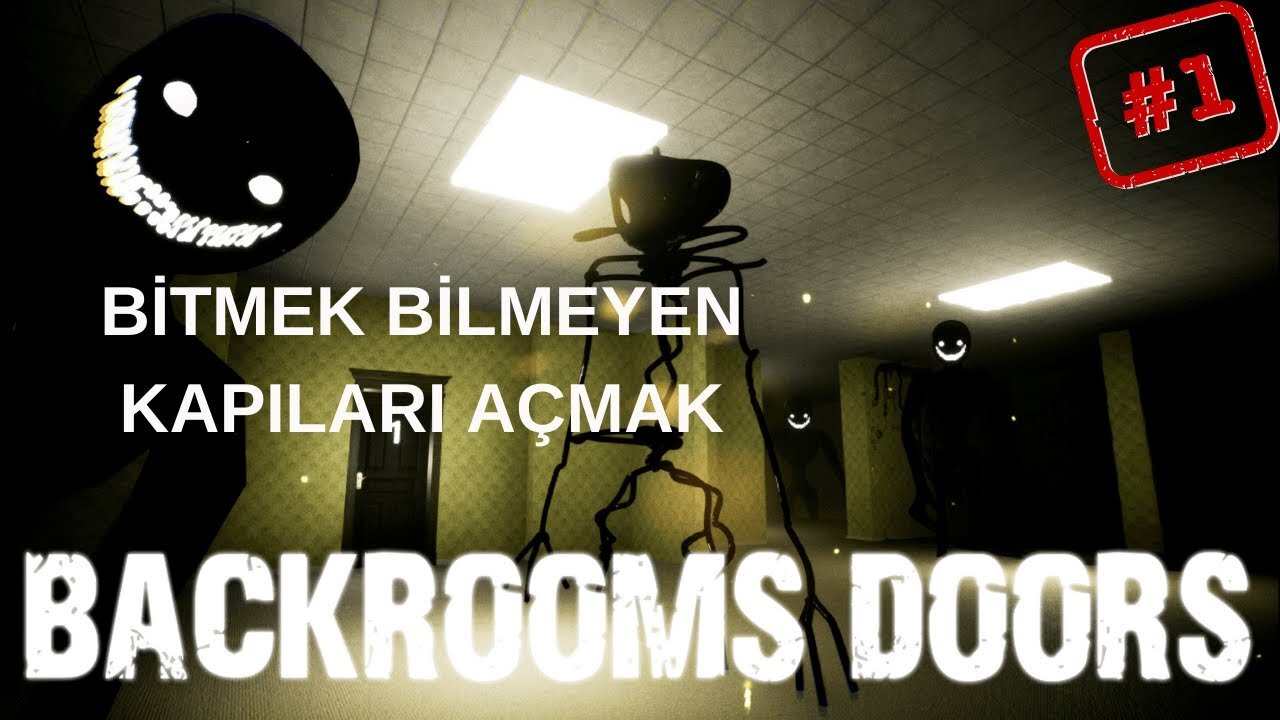 Opening the mysterious doors | Backrooms Doors Part 1