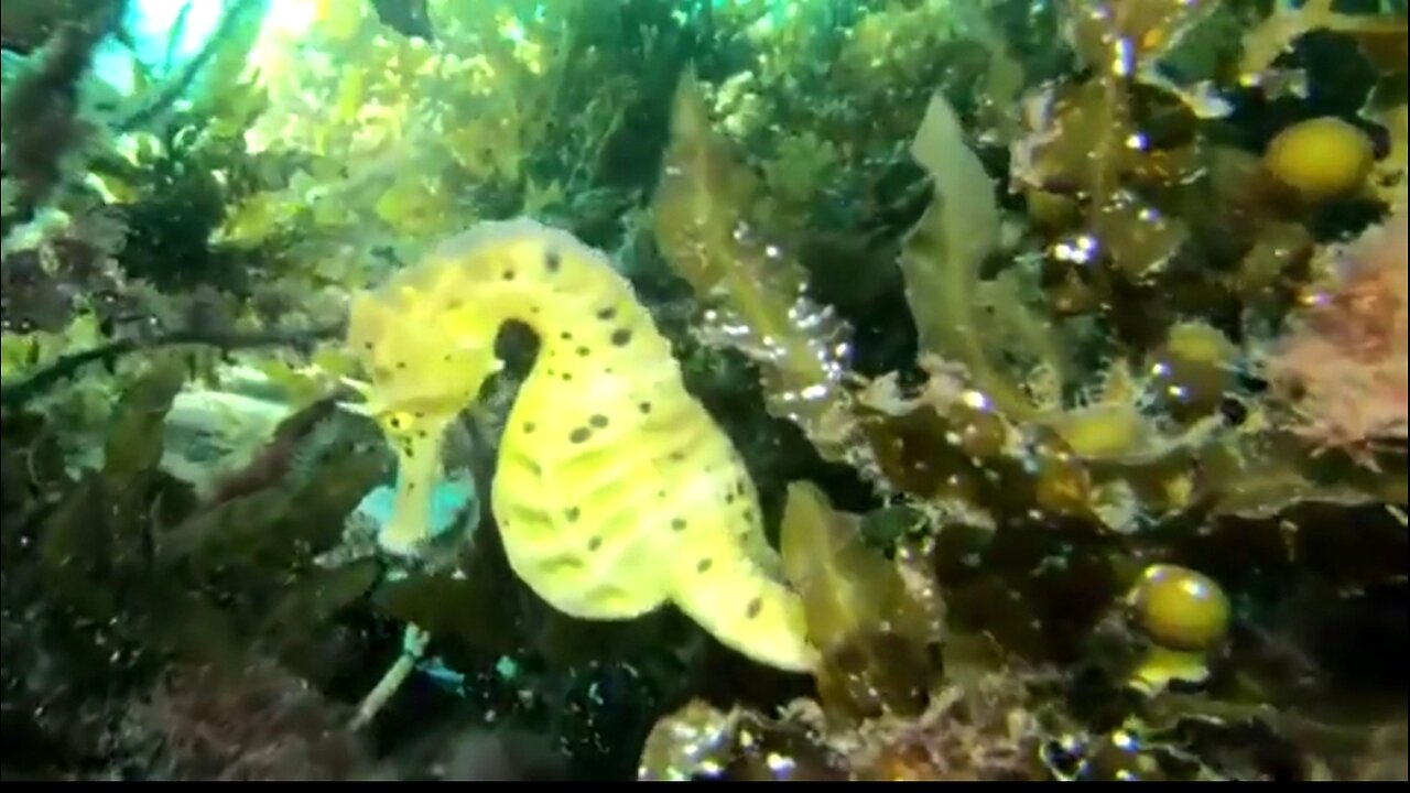 WEATHERING THE STORMS OF LIFE - DAILY DEVOTIONAL ❤️