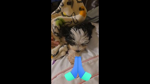 Hello Everyone I Need your help