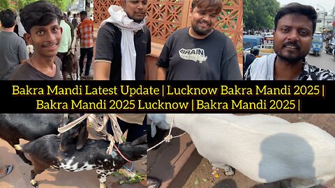 Bakra Mandi Latest Update | Lucknow Bakra Mandi 2025 | Bakra Mandi 2025 Lucknow | Bakra Mandi 2025 |