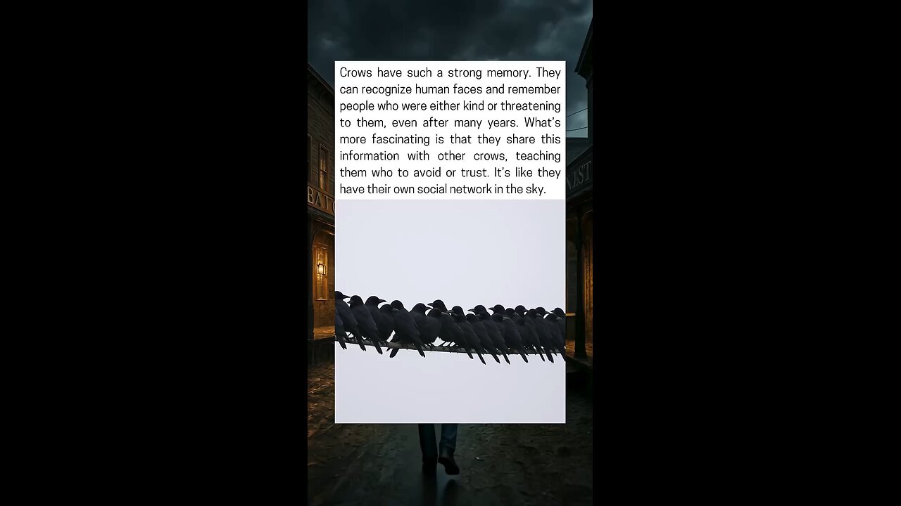 Crows Remember Human Faces