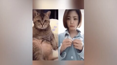 Don't Try Not to Laugh Challenge: Animal Edition