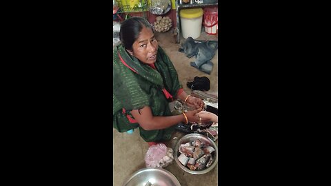 Indian river fish ilish citting