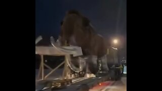 ¿Solo en Rusia?: Mamut queda ‘varado’ en la nieve en medio del tráfico