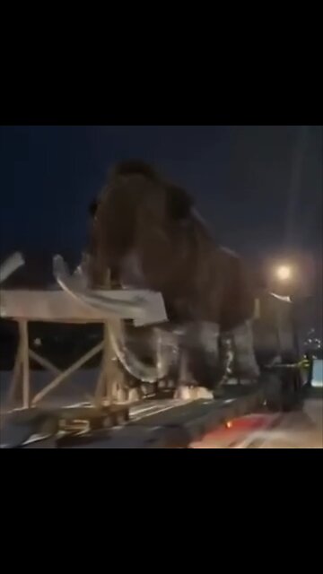 ¿Solo en Rusia?: Mamut queda ‘varado’ en la nieve en medio del tráfico
