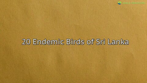 20 Endemic Birds of Sri Lanka