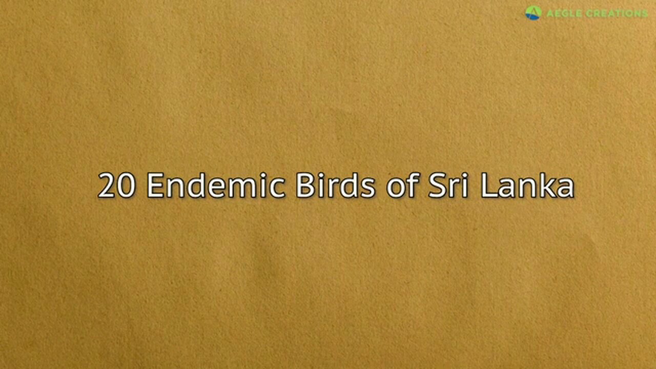 20 Endemic Birds of Sri Lanka