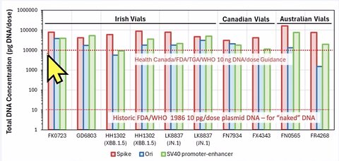 Dr John Campbell Latest Update the DNA Reverse Integration Into Human Genome that Will Cause Cancers