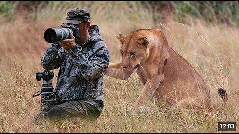 SHOCKING Wild Animal Encounters With Photographers 🤪 Funny Animal Videos 2025