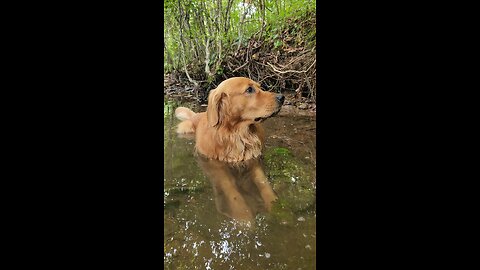 john laying in the creek