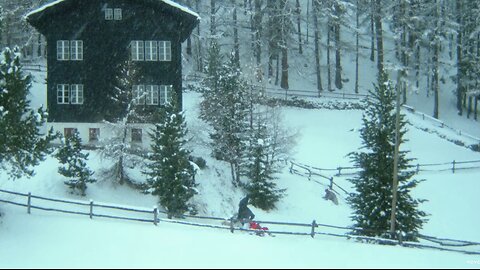 Merry Xmas Starseed Family - Hopefully in 2026 we can all meet each other❤️