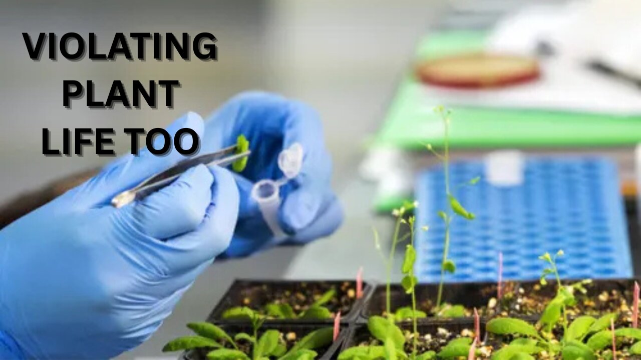 NANOTECHNOLOGY IN GENETIC ENGINEERING