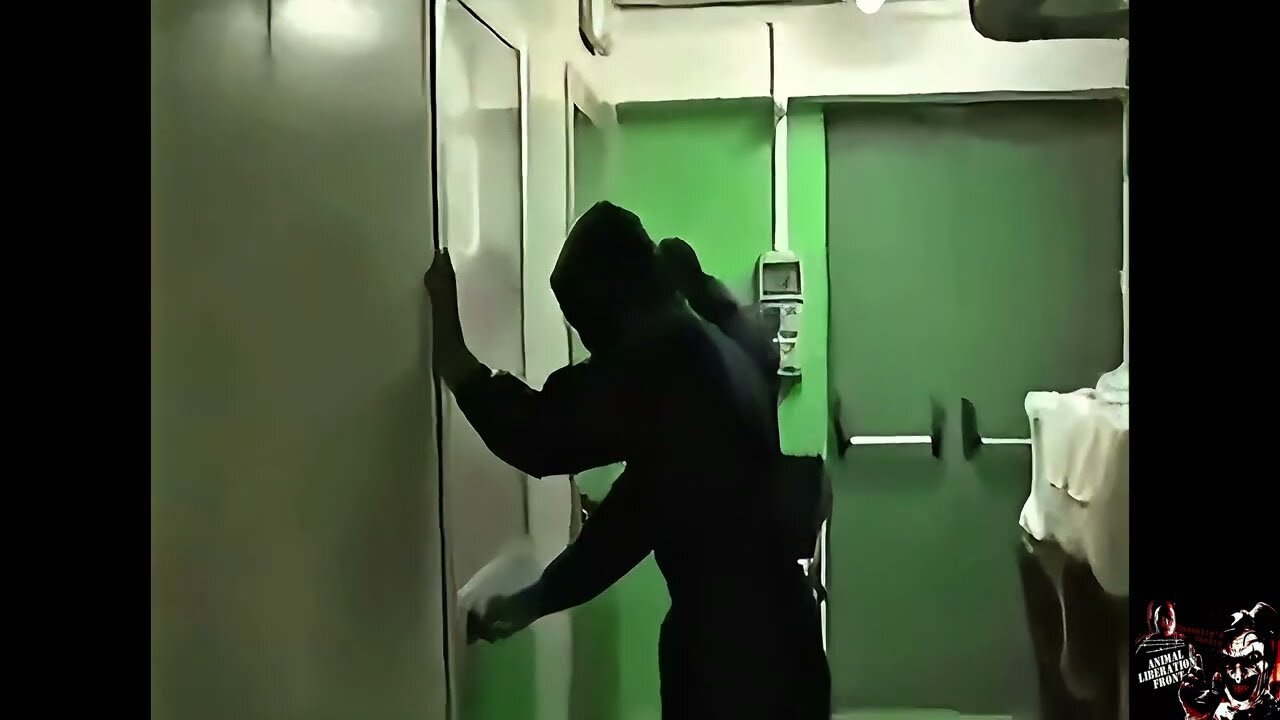 Somewhere Only We Know - ALF Raid Vivisection Lab