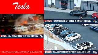Who is hurt by burning Teslas?
