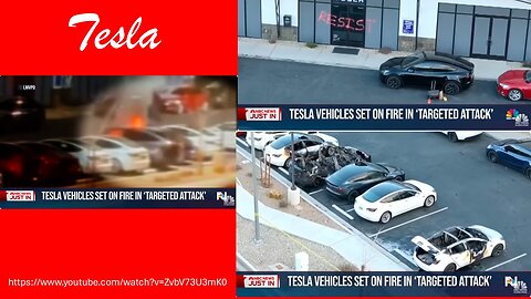 Who is hurt by burning Teslas?