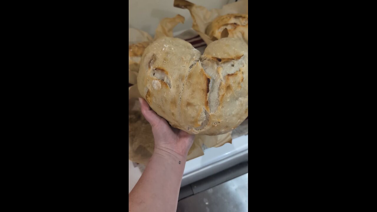 Sourdough in about 30 seconds 🍞