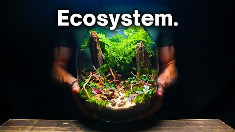 Creating a Beautiful Terrarium Ecosystem: A Step-By-Step Guide 🌿🌱 Terrarium DIY #terrarium
