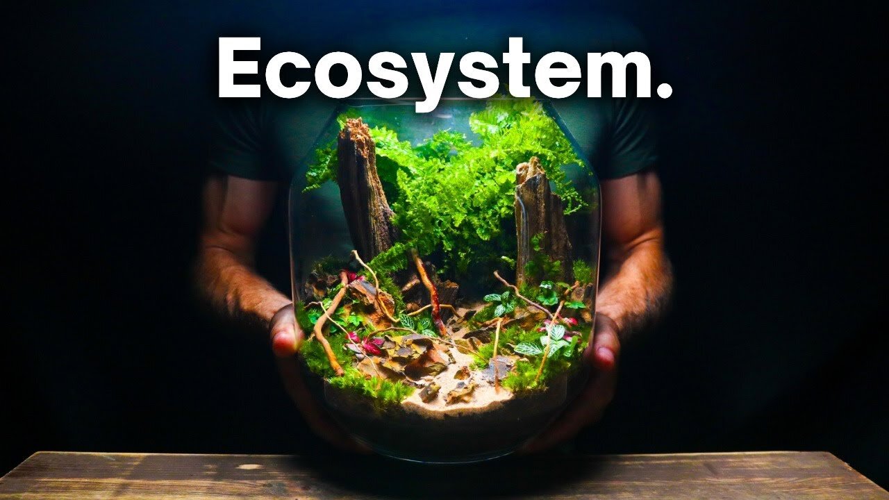 Creating a Beautiful Terrarium Ecosystem: A Step-By-Step Guide 🌿🌱 Terrarium DIY #terrarium