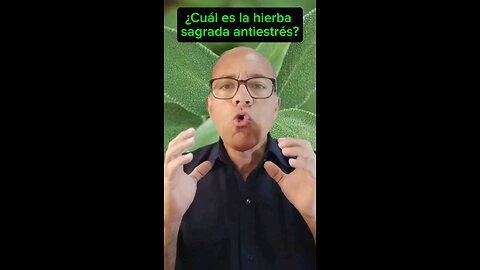 hierba sagrada