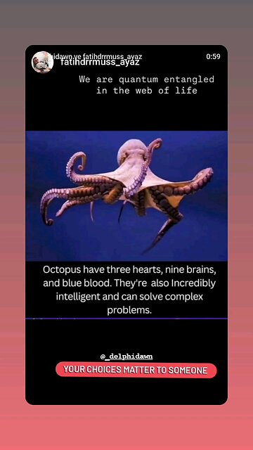 We are quantum entangled in the world wide web of Life 🌏 Your choices matter to someone #govegan🐬
