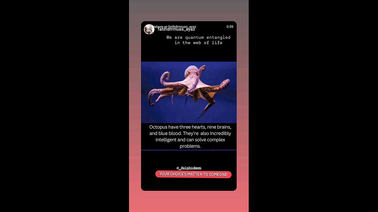 We are quantum entangled in the world wide web of Life 🌏 Your choices matter to someone #govegan🐬