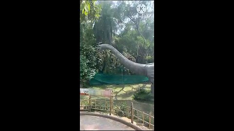 satisfying Video