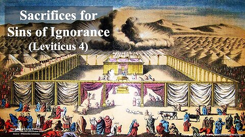 Sacrifices for Sins of Ignorance (Leviticus 4) – A daily Bible study from www.HeartofAShepherd.com.