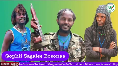 Qophii Sagalee Bosonaa ONM-ABO Hagayya 30-2025 itti dhiyaadhaa!