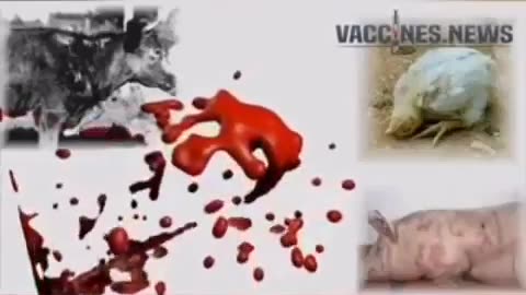 How vaccines are REALLY made.