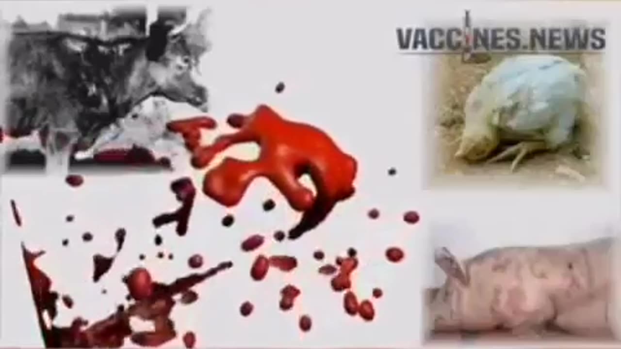 How vaccines are REALLY made.