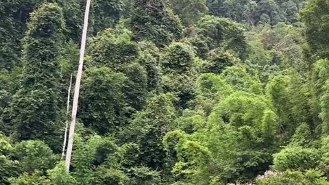 God planet is overflowing with high vibrations in order to cleanse all layers from negative energies