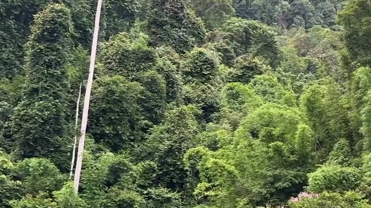 God planet is overflowing with high vibrations in order to cleanse all layers from negative energies