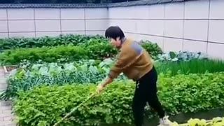 Homegrown Veggies Inspiration: Turn Your Backyard into a Green Oasis