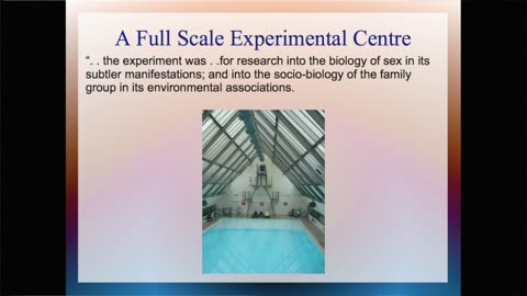 Cathi Morgan AWAKE and AWARE 2017