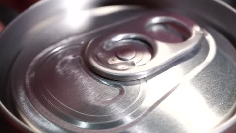 Dr Chaffee , 25 years of carnivore learning in 8 minutes