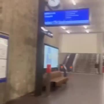 Migrant gangs wreak havoc in the train station in Geneva, Switzerland.