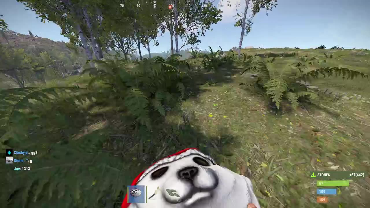 Wipe Day