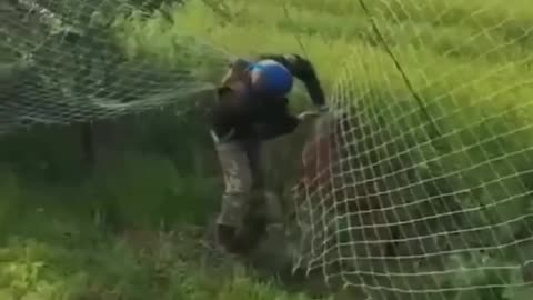 🦌🇺🇦 While Russian hunters are using drones to kill Red Book pelicans, Ukrainian