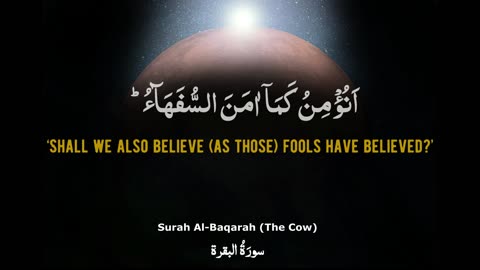 Most Beautiful Quran Recitation I Chapter 02 I Surah Al-Baqarah Verse 13-14