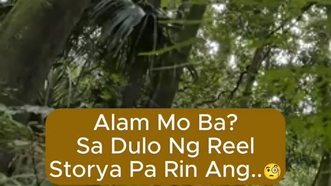 Sa Dulo Ng Reel