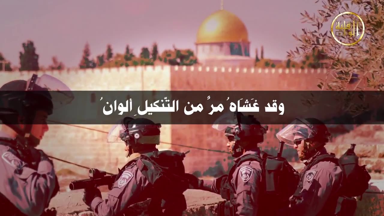 برقية عاجلة هــل عندكــم نبــأ