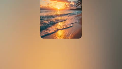 "Tropical Beach Sunset" by RedSixerFan 1/30/26