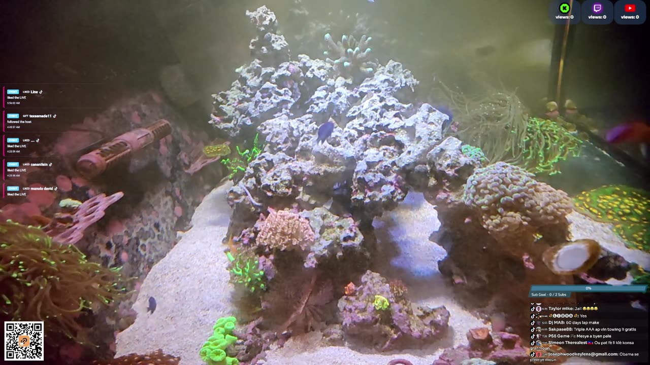 24/7 Real Live Reef Stream
