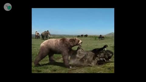 Why Arctotherium Was Scarier Than Any Dinosaur?