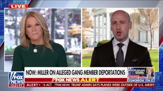 Stephen Miller on Andrew Weissmann: 'He is an Absolute Moron, He is a Fool, and He's a Degenerate'